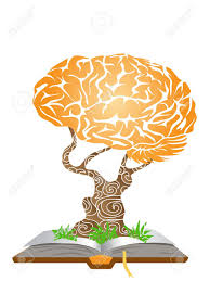 brain book