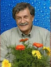 emran salahhi 1399
